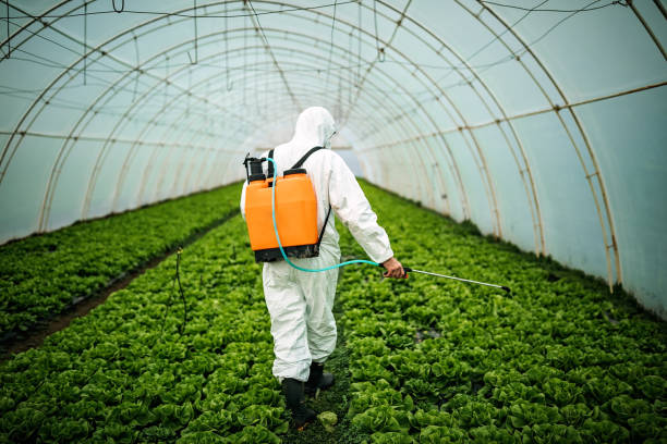 Best Affordable Pest Control Services  in Fishhook, AK