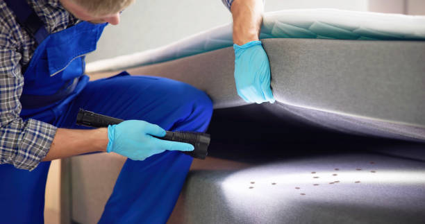 Best Best Pest Control Companies  in Fishhook, AK