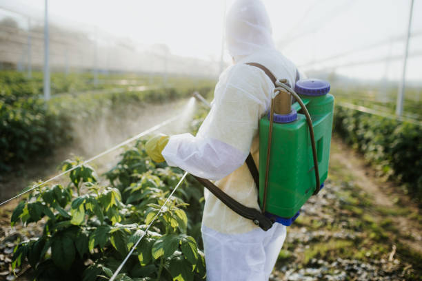 Best Local Pest Control Services  in Fishhook, AK